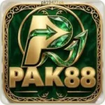 PAK88 game